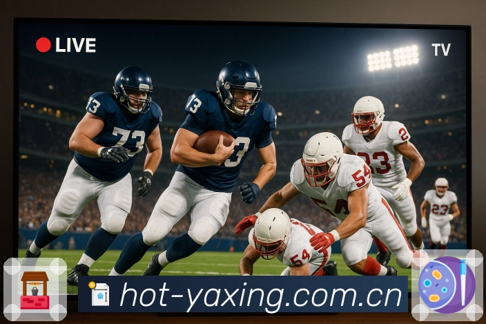 开云APP 高清赛事图